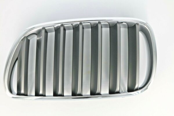BMW Genuine Grille (Front, Left) (MPN: 51113420091) - Image 2