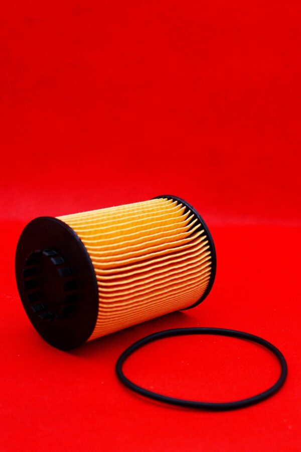 Genuine Porsche Oil Filter (MPN: 95810722210)