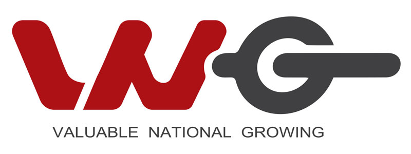 VNG Logo