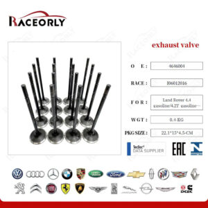 VALVE EXHAUST - 4646004
