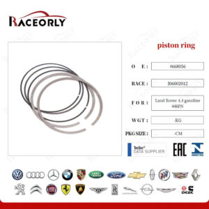 PISTON RING SET - 4668056