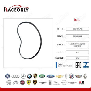 BELT - C2D39175