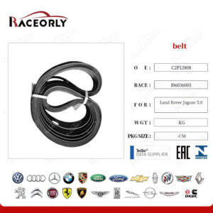 BELT - C2P12808