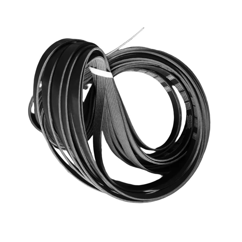 BELT - PQR500330 - Image 2